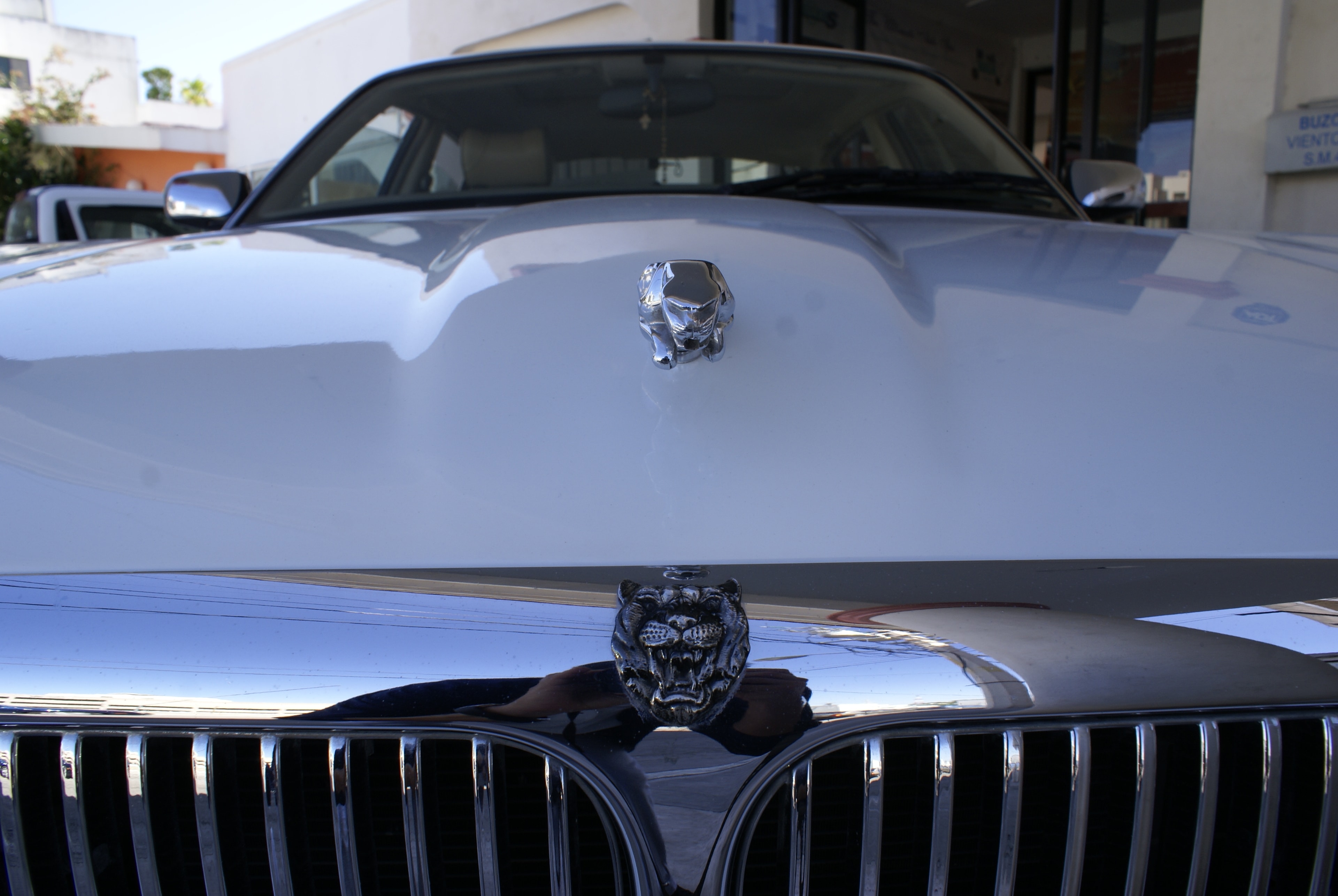 Jaguar XJ8 — frente completo resultado final