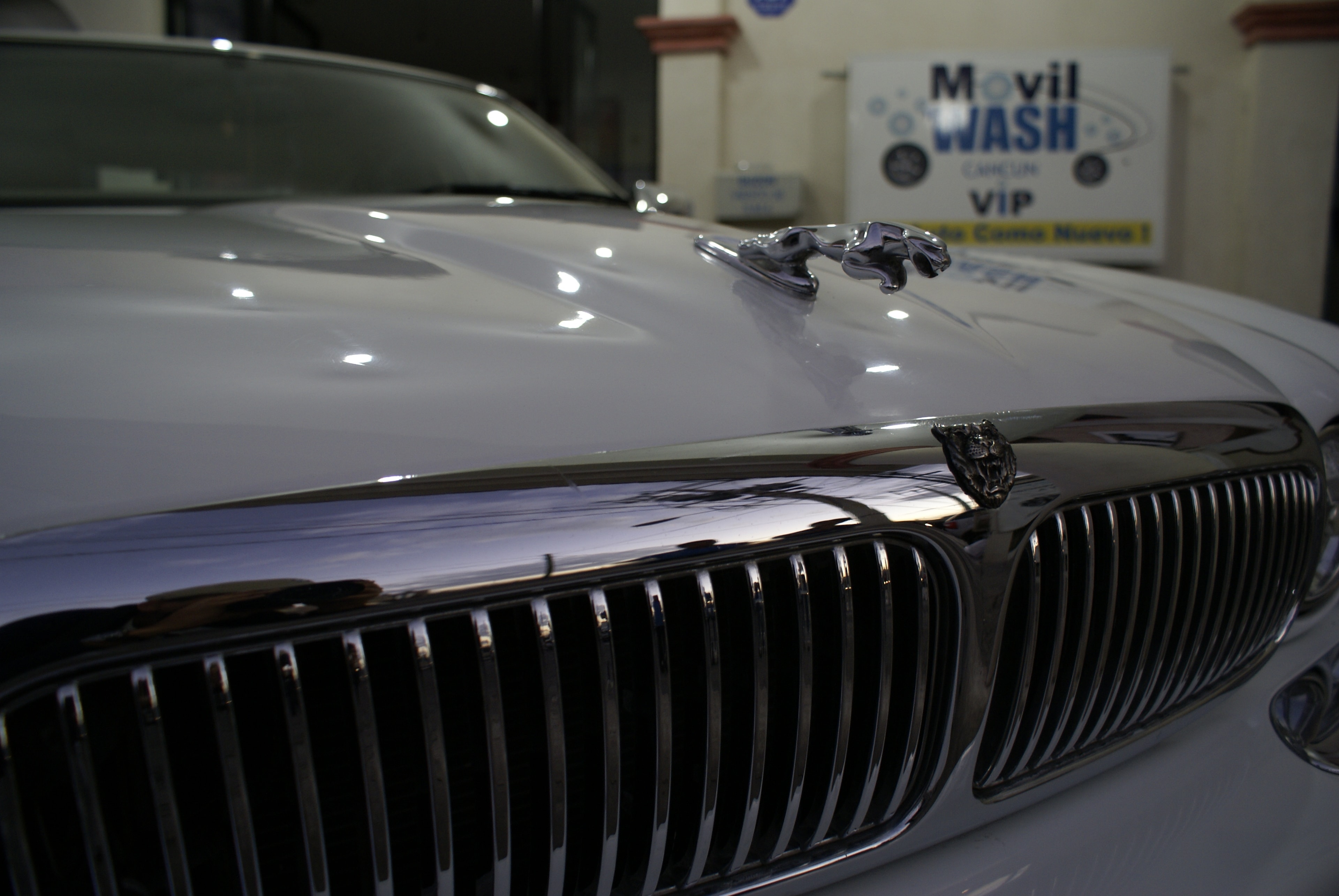 Jaguar XJ8 — cofre y parrilla cromada