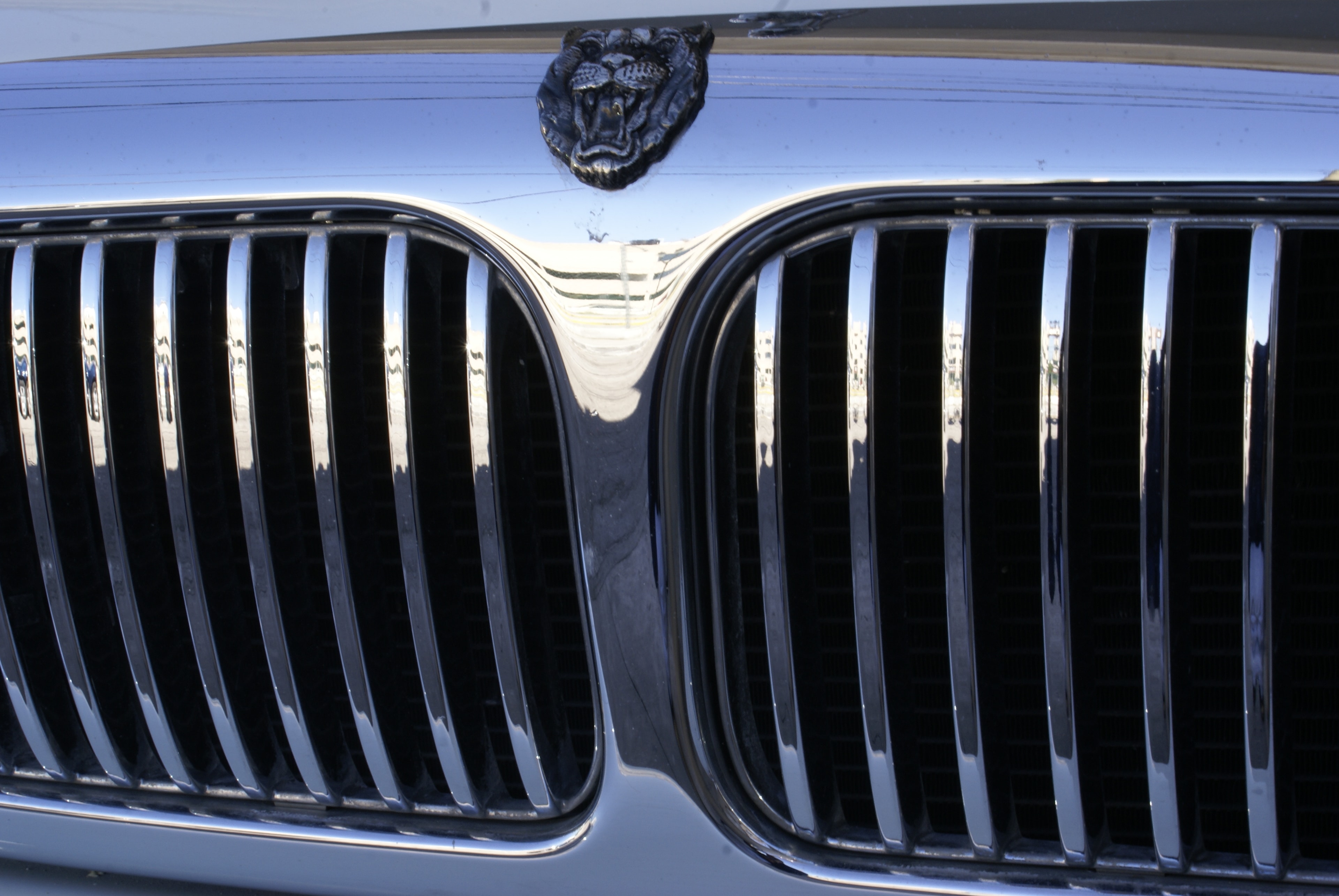 Jaguar XJ8 — parrilla cromada con ornamento jaguar