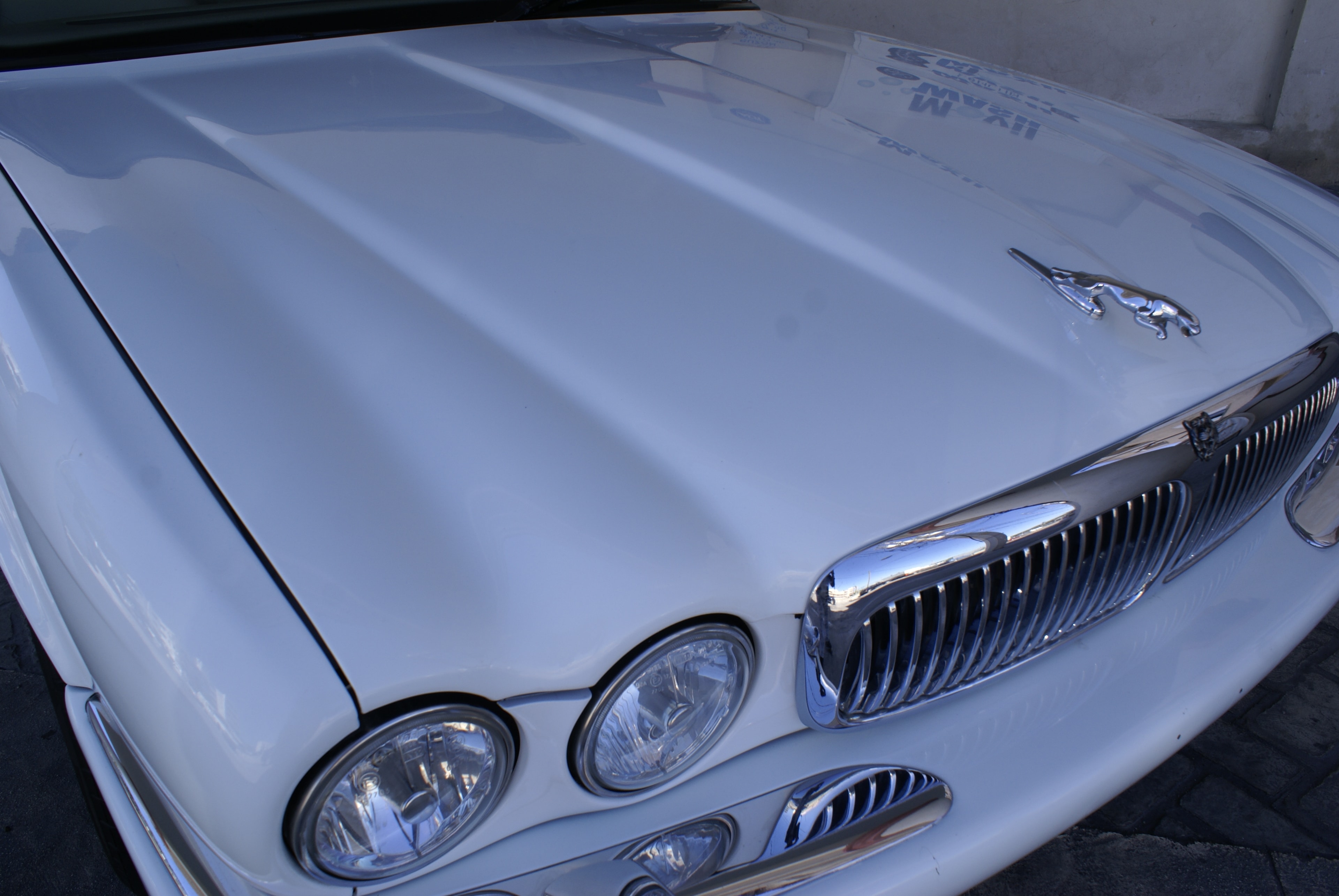 Jaguar XJ8 — cofre blanco brillante